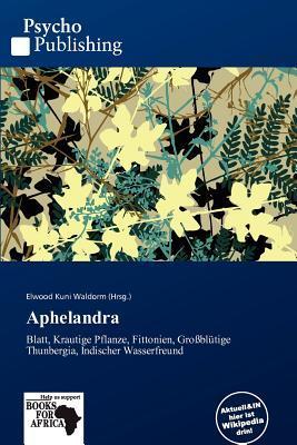Aphelandra