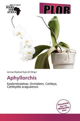 Aphyllorchis