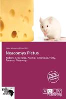 Neacomys Pictus