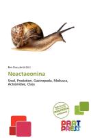 Neactaeonina