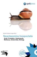 Neactaeonina Inexpectata