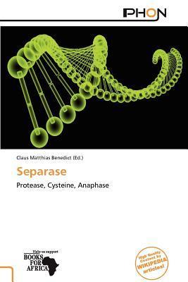 Separase