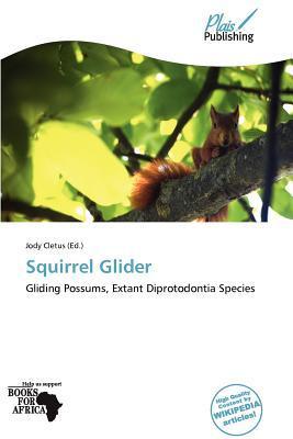 Squirrel Glider