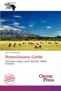 Romosinuano Cattle