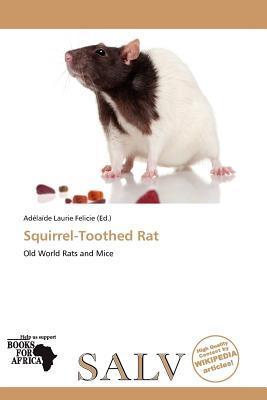 Squirrel-Toothed Rat