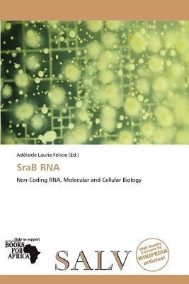 SraB RNA