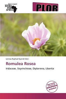 Romulea Rosea
