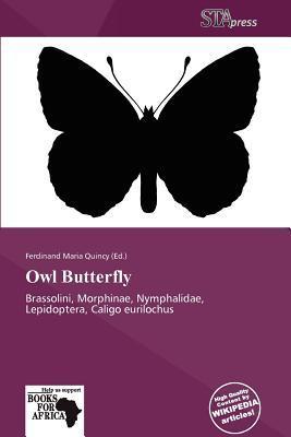 Owl Butterfly