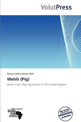 Welsh (Pig)