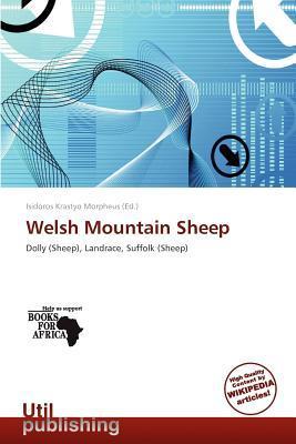 Welsh Mountain Sheep