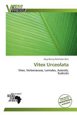 Vitex Urceolata