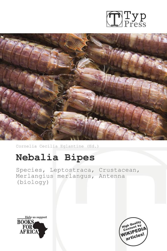 Nebalia Bipes
