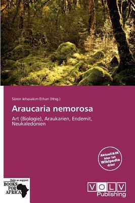 Araucaria nemorosa