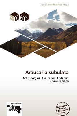 Araucaria subulata