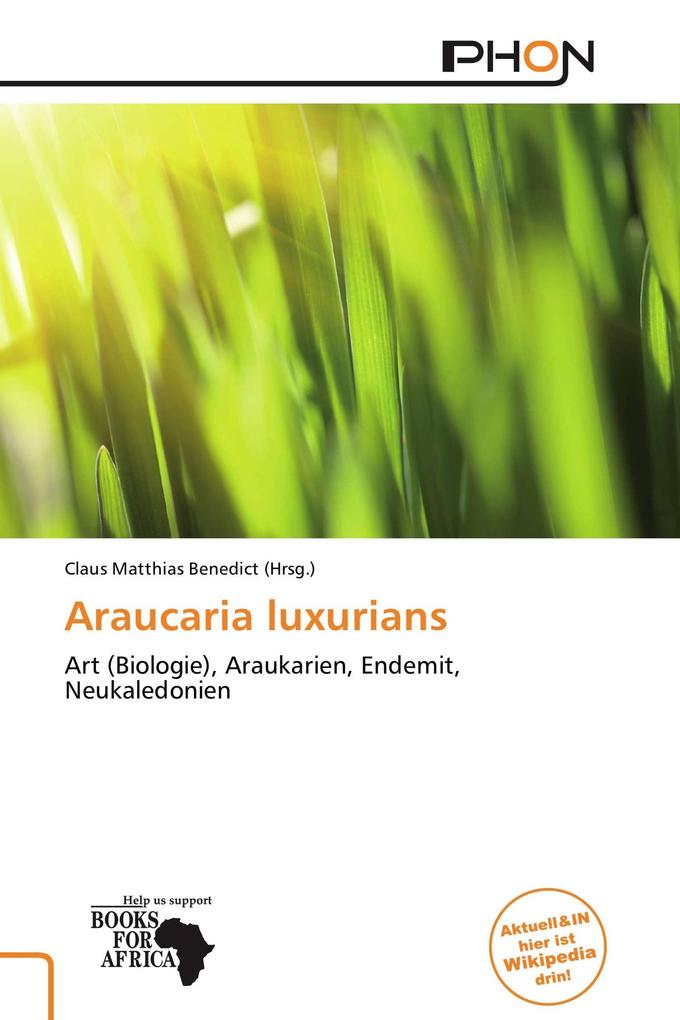 Araucaria luxurians