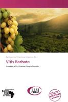 Vitis Barbata