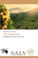 Vitis Fengqinensis