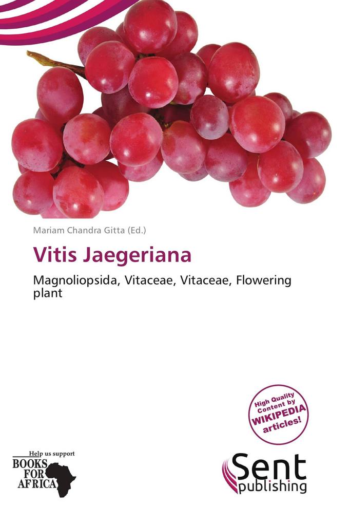 Vitis Jaegeriana