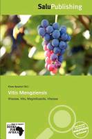 Vitis Mengziensis