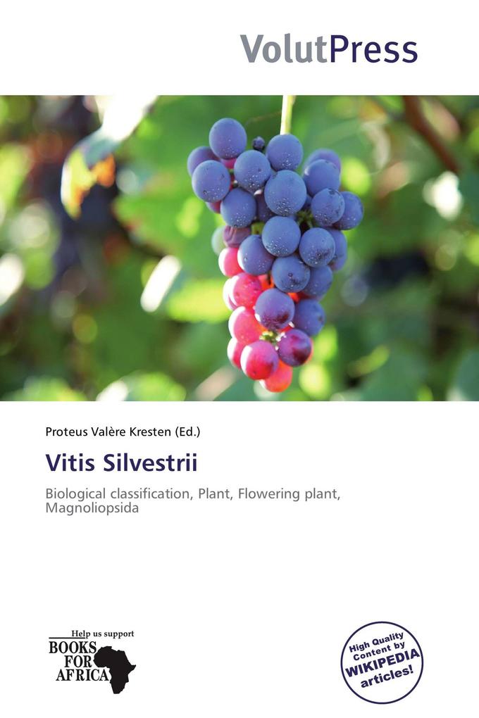 Vitis Silvestrii