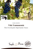 Vitis Yunnanensis