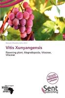 Vitis Xunyangensis