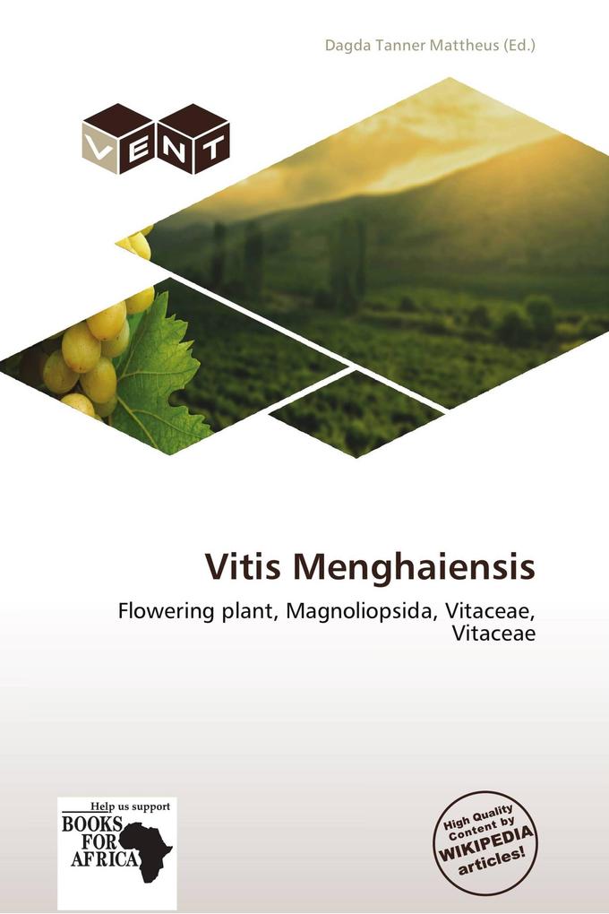 Vitis Menghaiensis