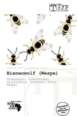 Bienenwolf (Wespe)