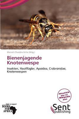 Bienenjagende Knotenwespe