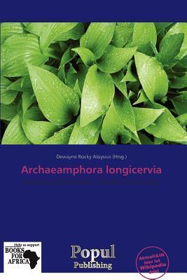 Archaeamphora longicervia