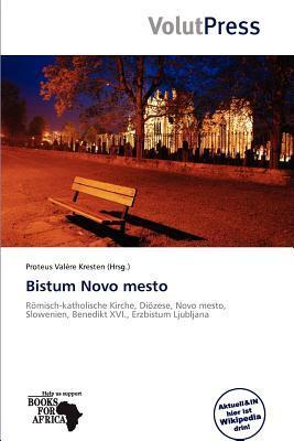 Bistum Novo mesto