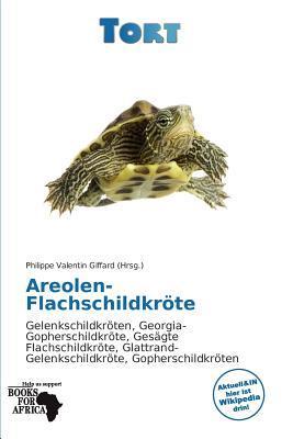 Areolen-Flachschildkröte