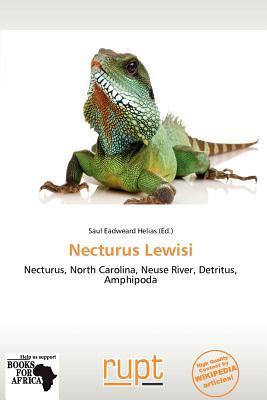 Necturus Lewisi