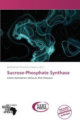 Sucrose-Phosphate Synthase