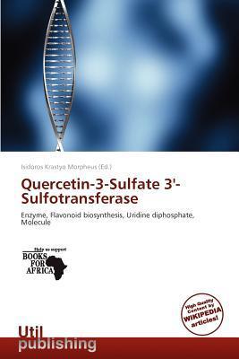 Quercetin-3-Sulfate 3'-Sulfotransferase