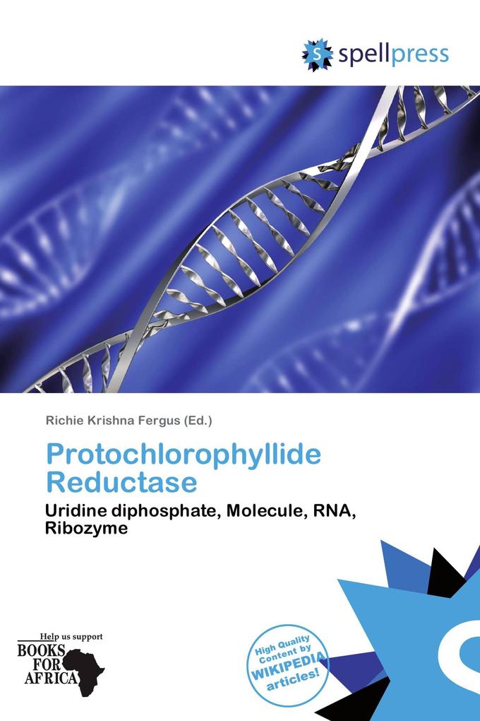Protochlorophyllide Reductase