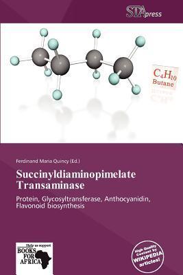 Succinyldiaminopimelate Transaminase