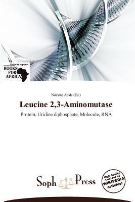 Leucine 23-Aminomutase