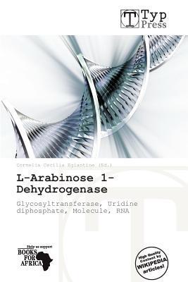 L-Arabinose 1-Dehydrogenase