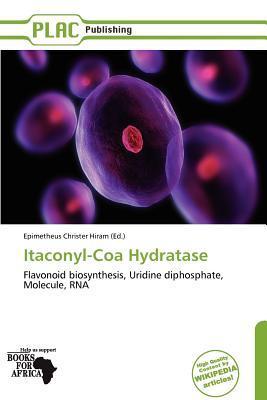 Itaconyl-Coa Hydratase