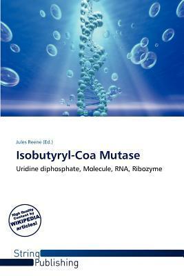Isobutyryl-Coa Mutase