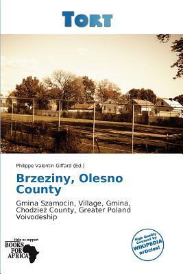 Brzeziny Olesno County