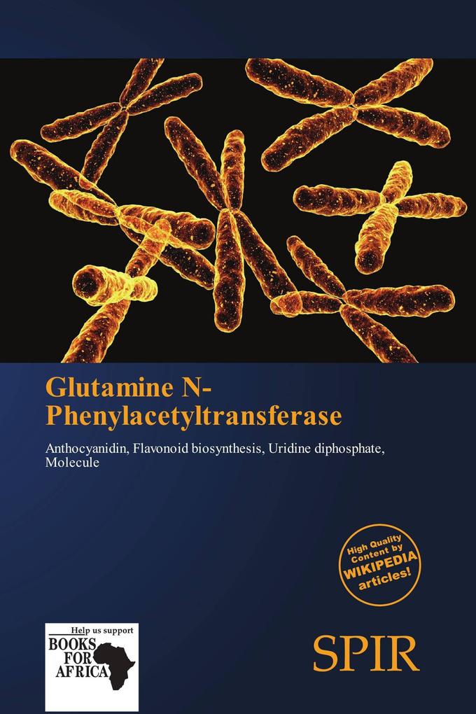 Glutamine N-Phenylacetyltransferase