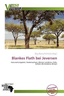 Blankes Flath bei Jeversen