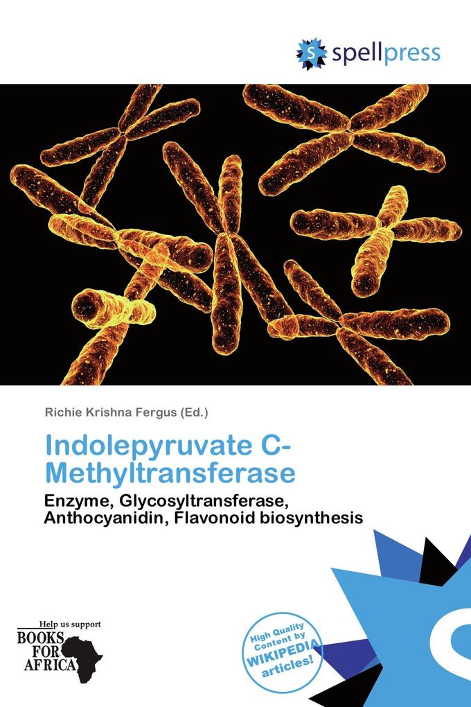 Indolepyruvate C-Methyltransferase