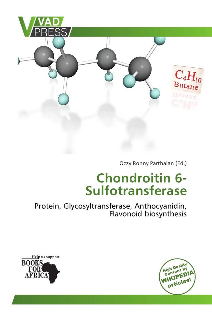 Chondroitin 6-Sulfotransferase