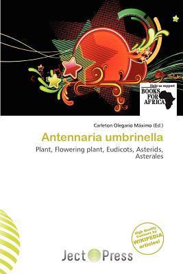 Antennaria umbrinella