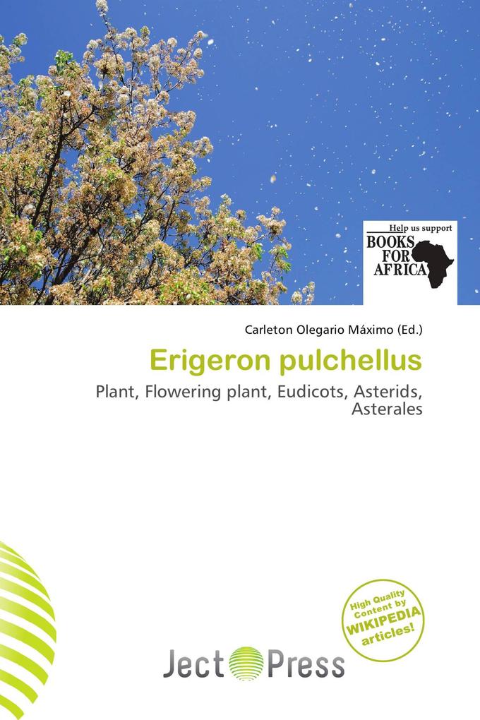 Erigeron pulchellus