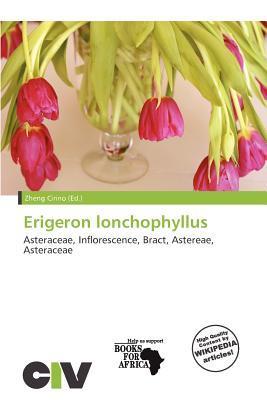 Erigeron lonchophyllus