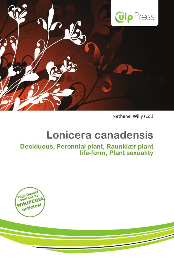 Lonicera canadensis